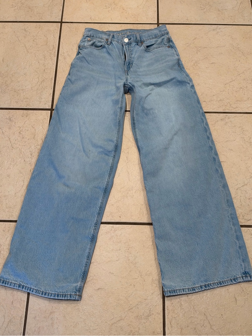American Eagle Outfitters Light Blue Low Rise Wide-Leg Jeans